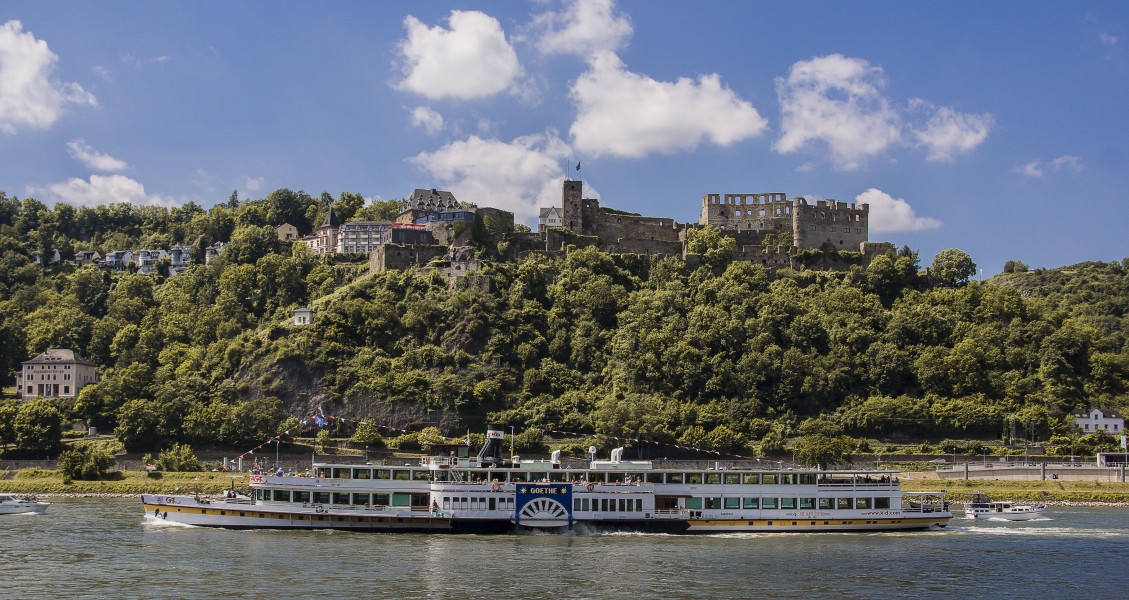 Burgruine Rheinfels xx