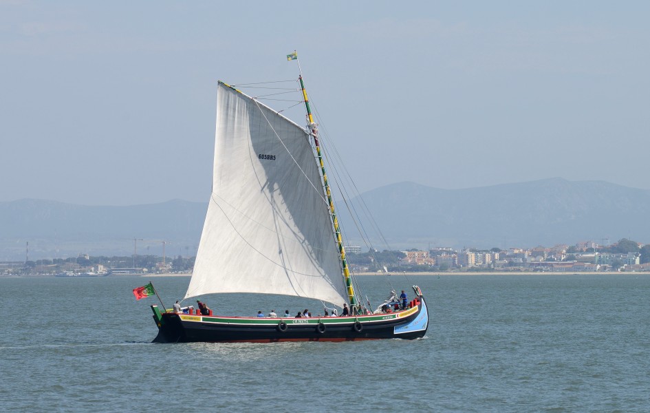 Canoa Tejo May 2015-1