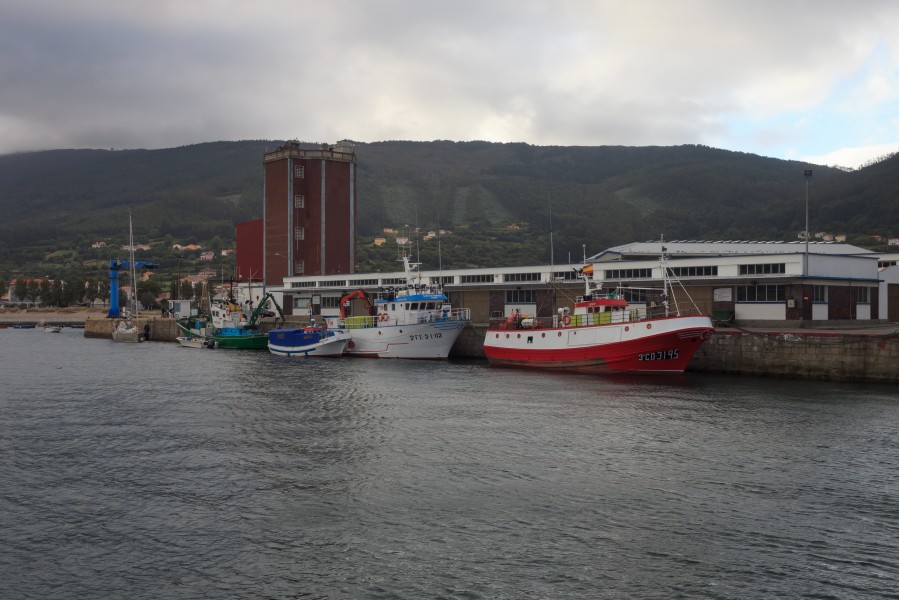 Cariño. Galiza 202
