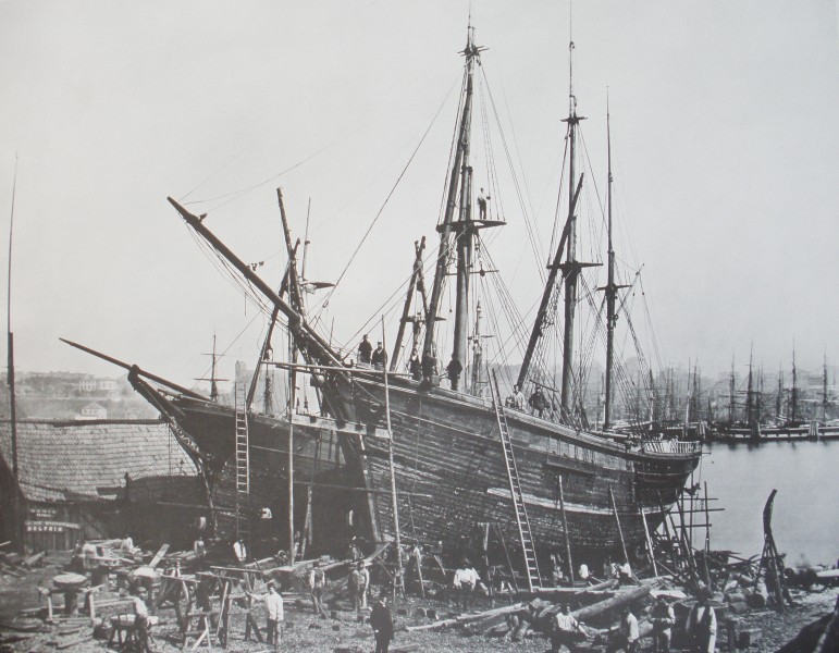 Carl-höge werft-steinwerder 1865