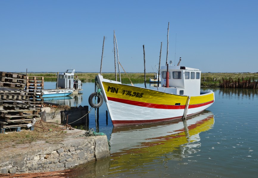 Chaillevette 17 Bateau amarré Chatressac 2013