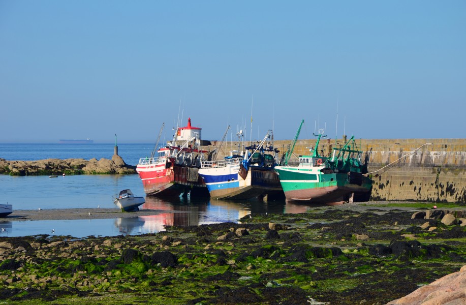 Chalutiers Barfleur
