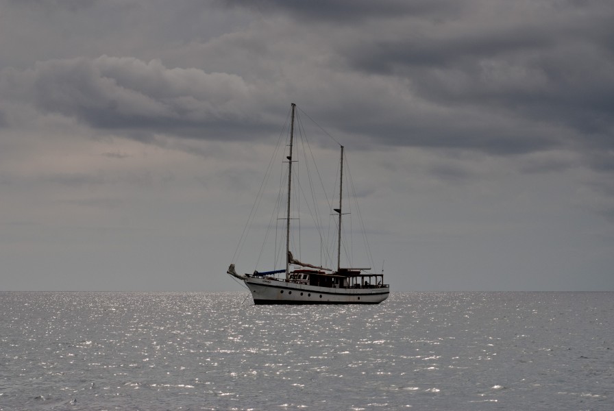 Congoola Cruise (Imagicity 507)
