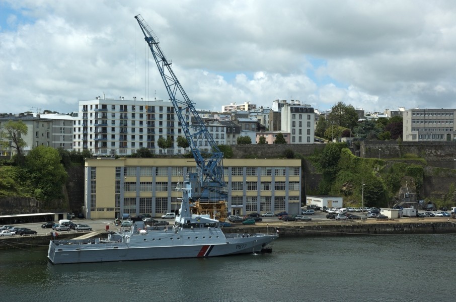 Cormoran-20060523-027