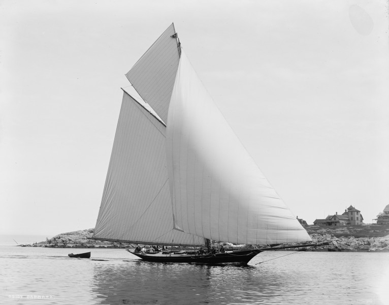 Cutter Barbara-1