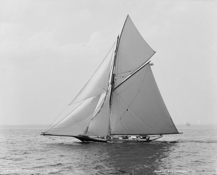 Cutter Barbara-2