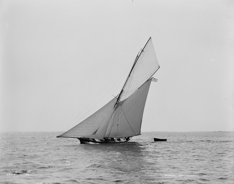 Cutter Shona