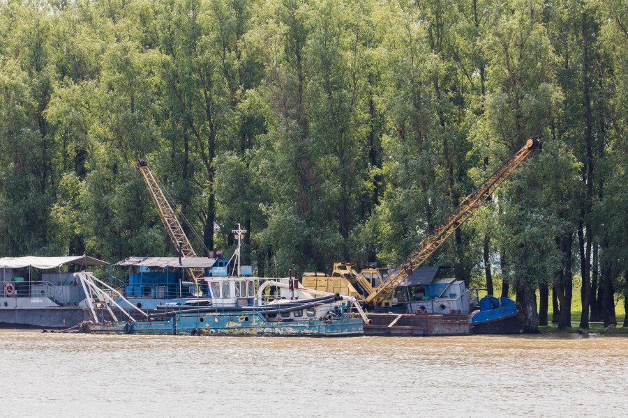Delta del Danubio, Rumanía, 2016-05-28, DD 10