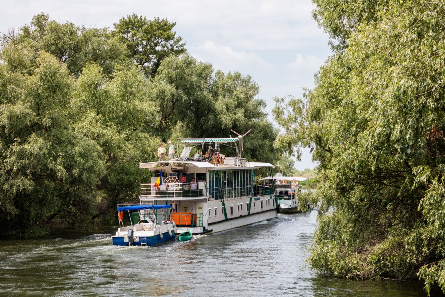 Delta del Danubio, Rumanía, 2016-05-28, DD 25
