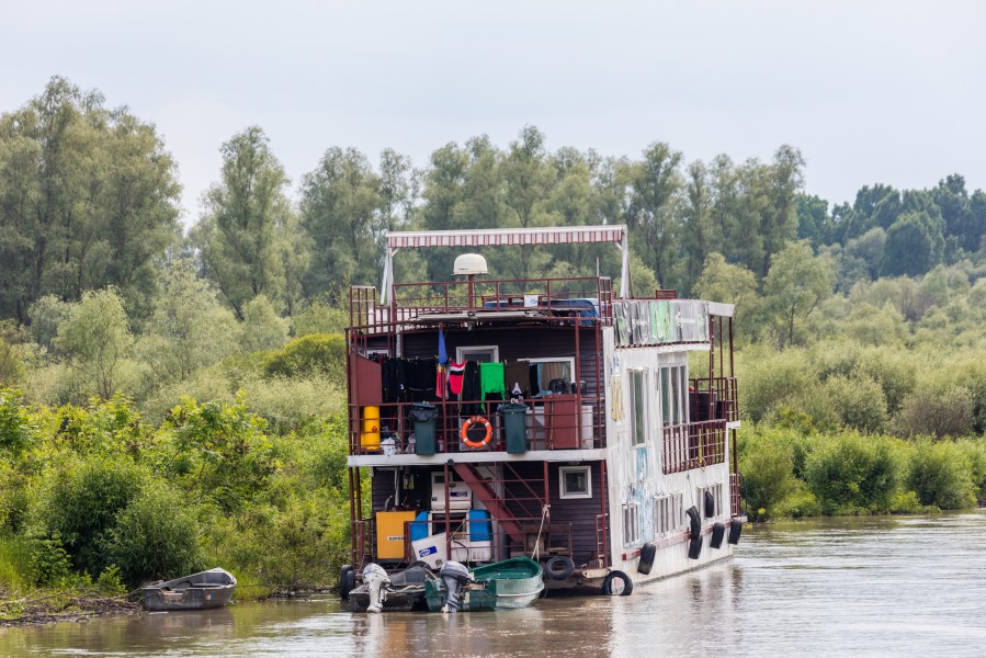 Delta del Danubio, Rumanía, 2016-05-28, DD 38