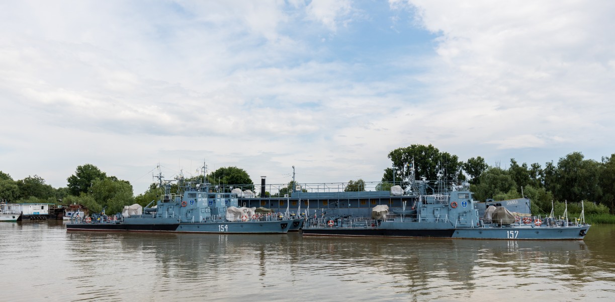 Delta del Danubio, Rumanía, 2016-05-28, DD 40