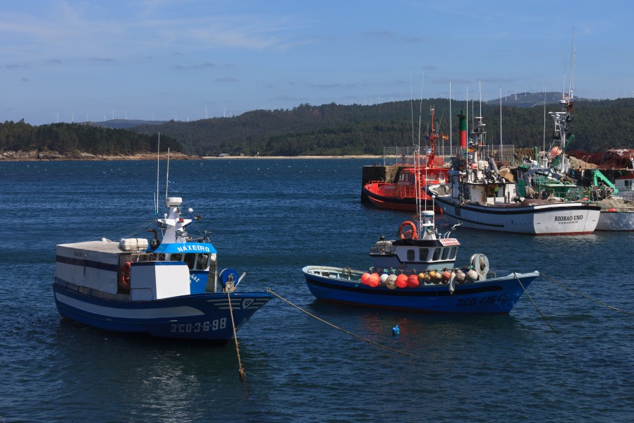 Embarcacións no porto de Camariñas 124