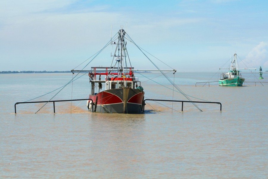Estuaire de la Gironde - pêche au carrelet 02
