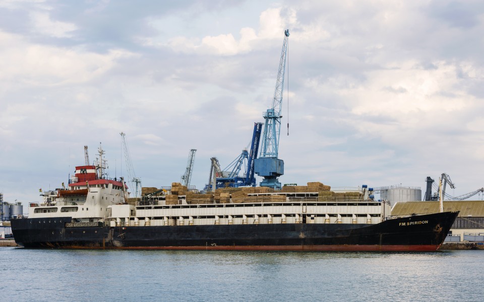 F.M.Spiridon (ship, 1973), Sète 01
