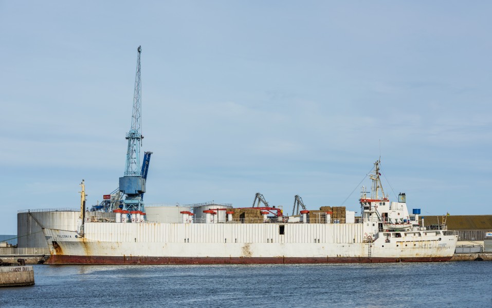 Falconia (ship, 1973), Sète 01