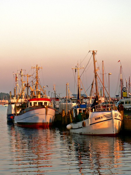 Fischkutter Eckernförde (7181317794)