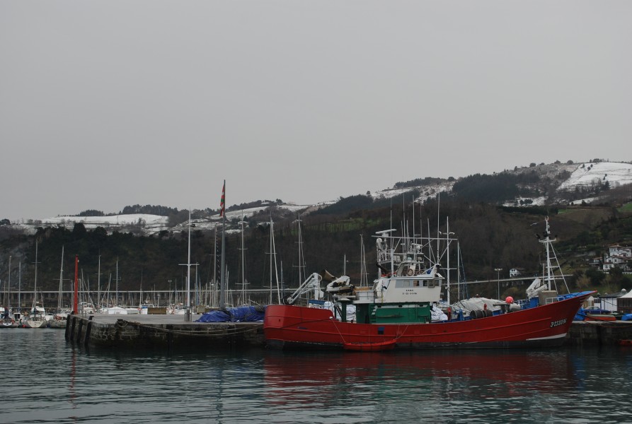 Getaria Chalutier 01