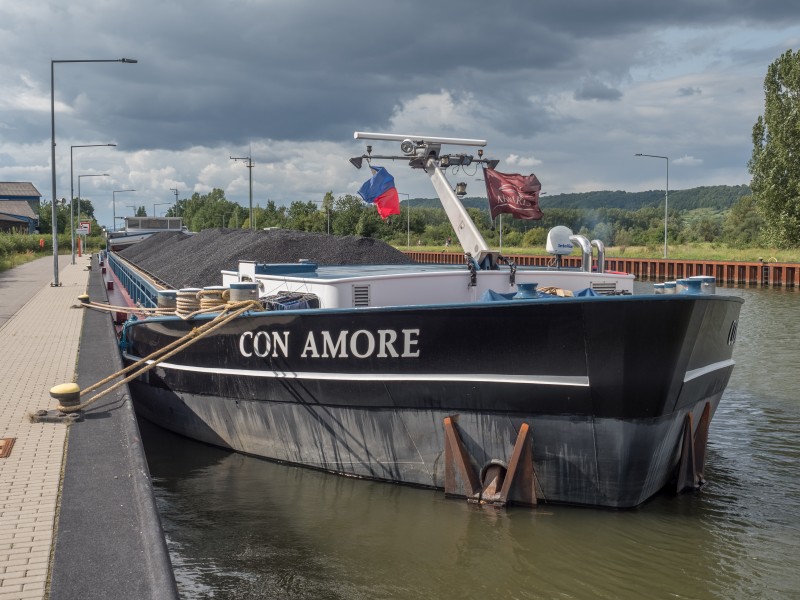 GMS Con Amore 0013