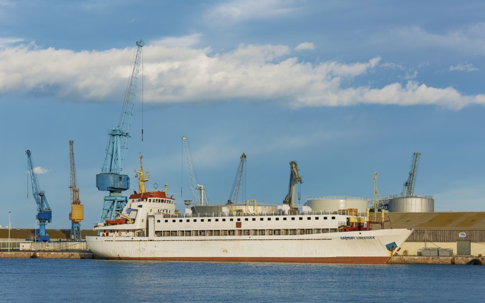 Harmony Livestock (ship, 1972), Sète 01