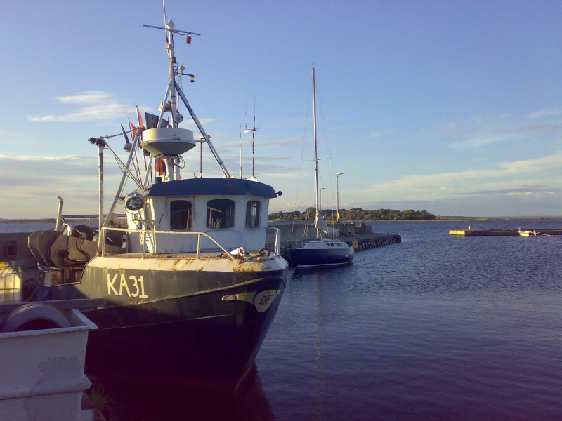 Hasslö fiske
