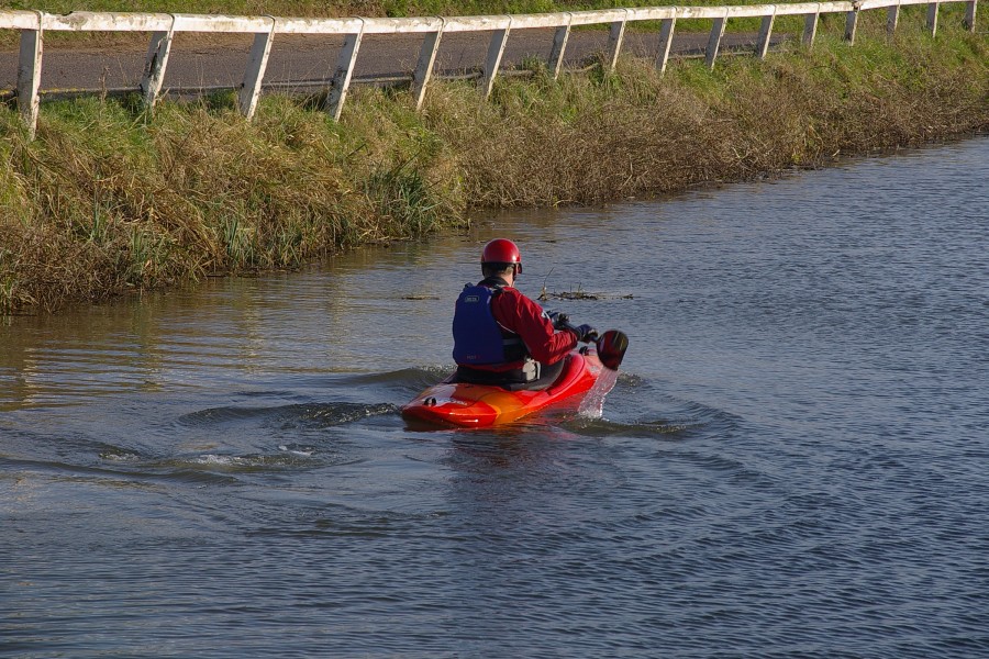 Hedging MMB 03 Bridgwater and Taunton Canal