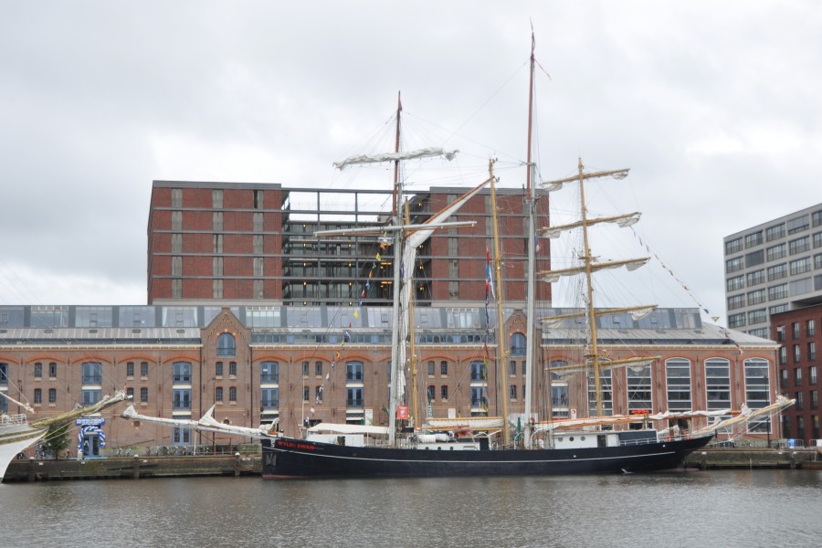 IMO 5126718 WYLDE SWAN (01)