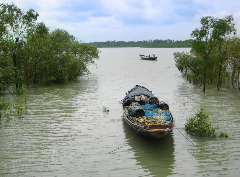 Kaikhali Sundarbans 15-09-2011 (1)