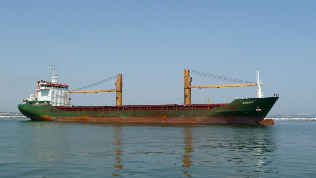 Karsoy 2010 G1