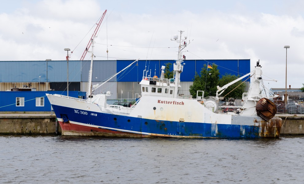 Kutterfisch Iris NC300 in Cuxhaven 2013
