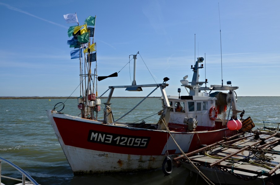 La Tremblade 17 Bateau pêche 2014