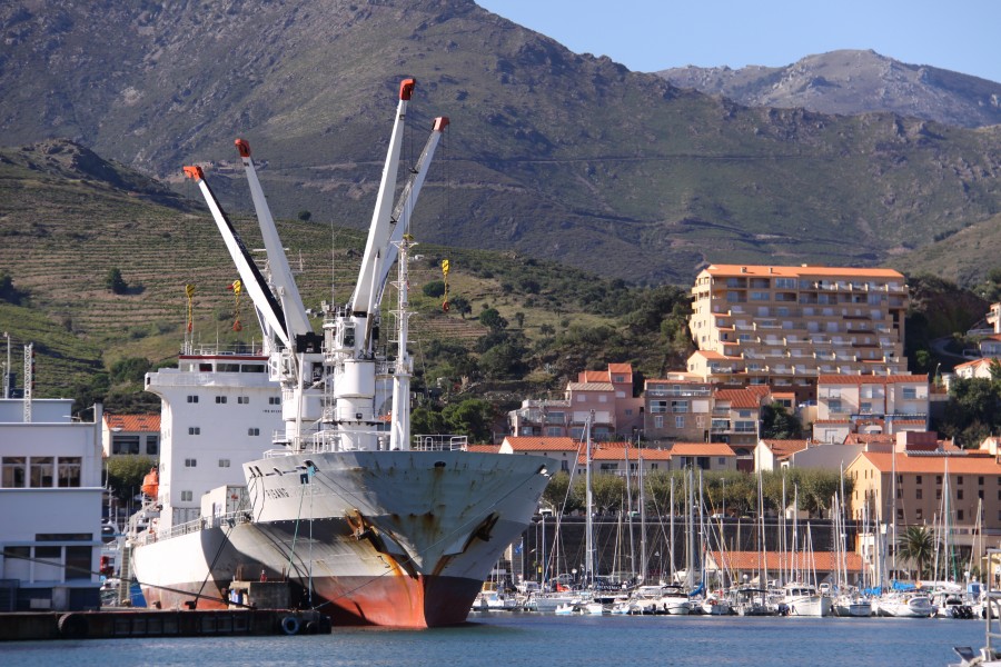Le cargo Pisang (3)