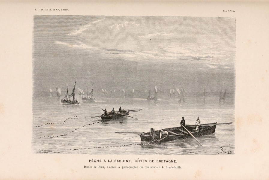 Le monde de la mer (Pl. XXIX) (8202745285)