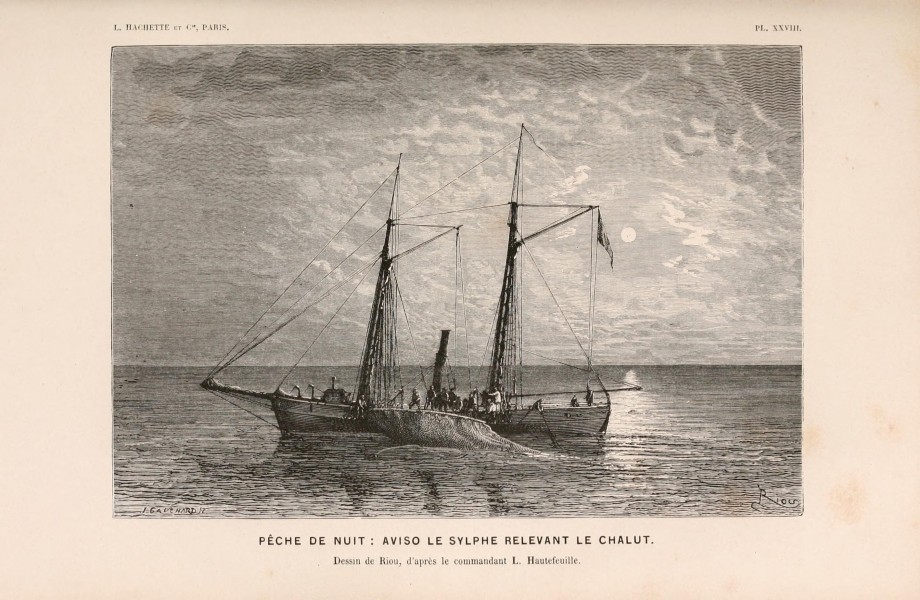 Le monde de la mer (Pl. XXVIII) (8202744717)