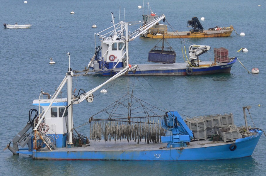 Moules bateaux