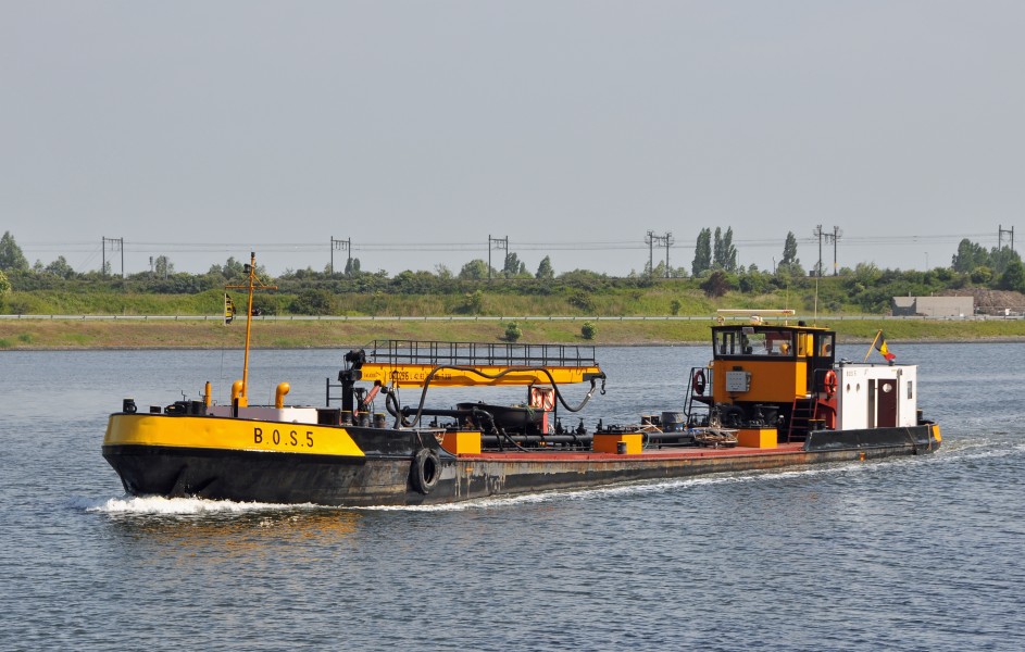 MS BOS 5 R01