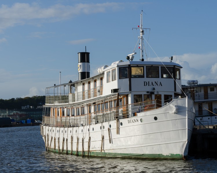 MS Diana September 2012