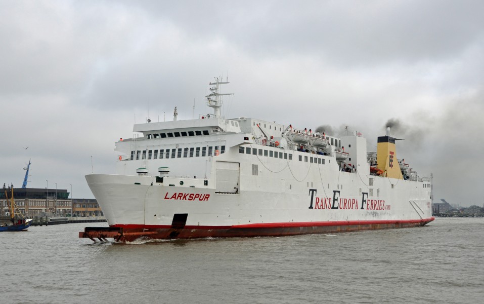 MS Larkspur R01