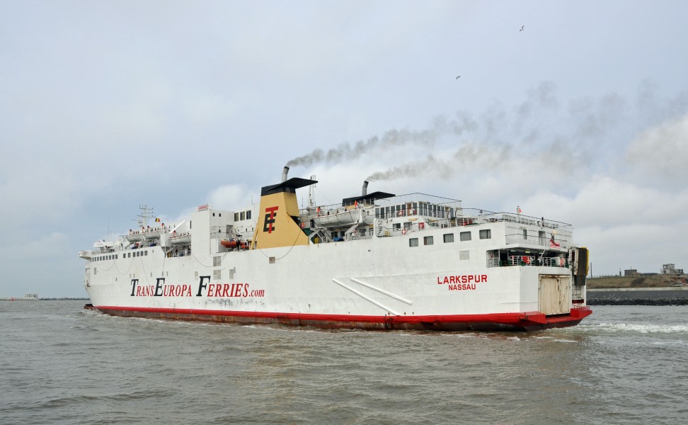 MS Larkspur R02