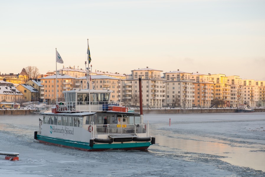 MS Lisen January 2013 01