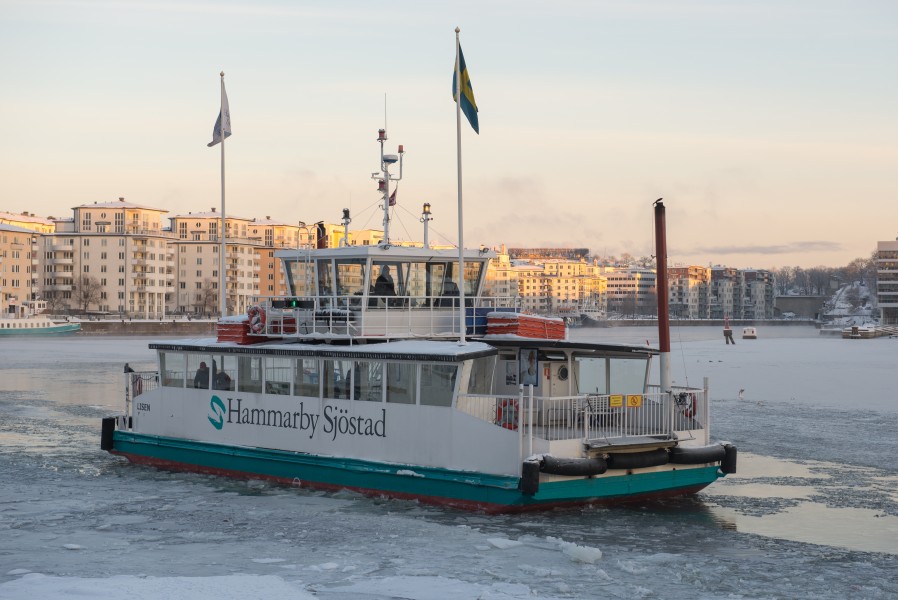 MS Lisen January 2013 02