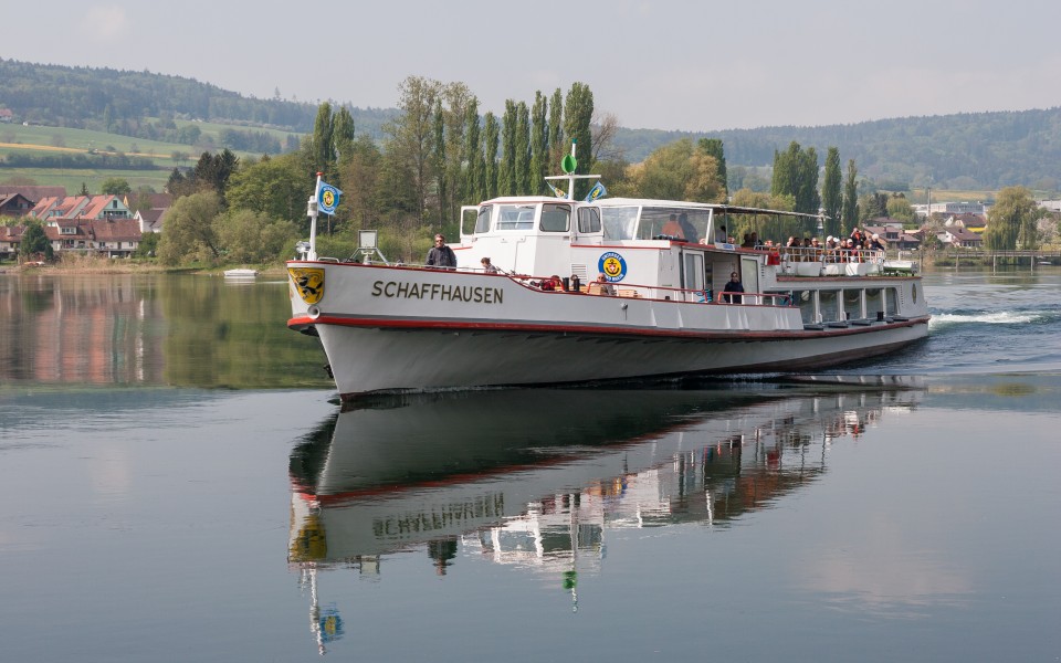 MS Schaffhausen bei Eschenz TG IMG 8212