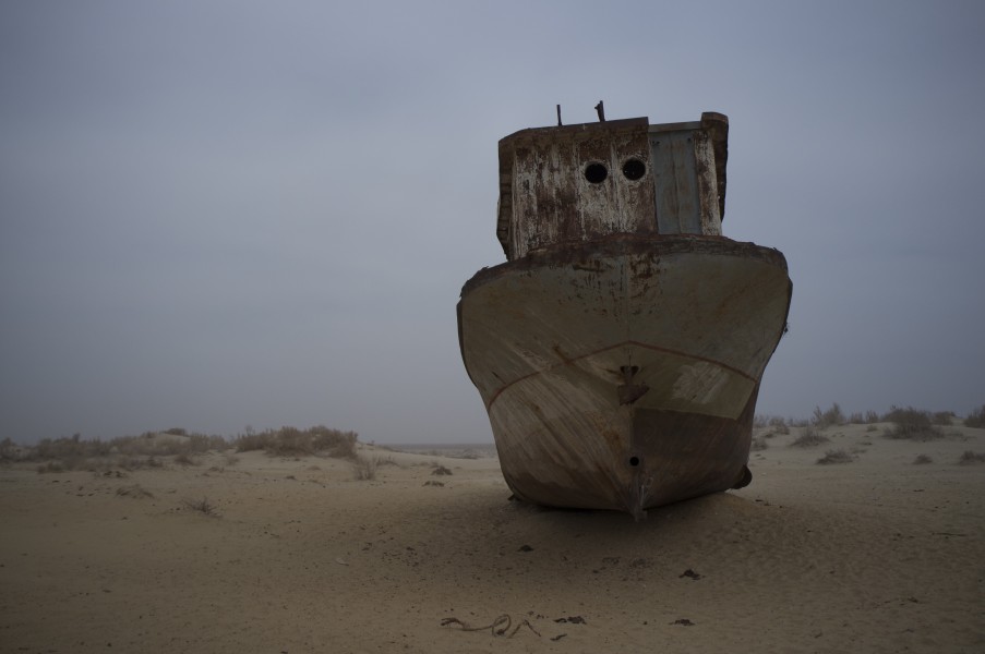 Muynak (8600892562)