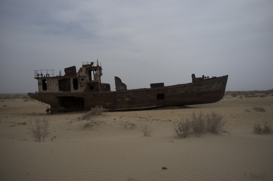 Muynak (8600894300)