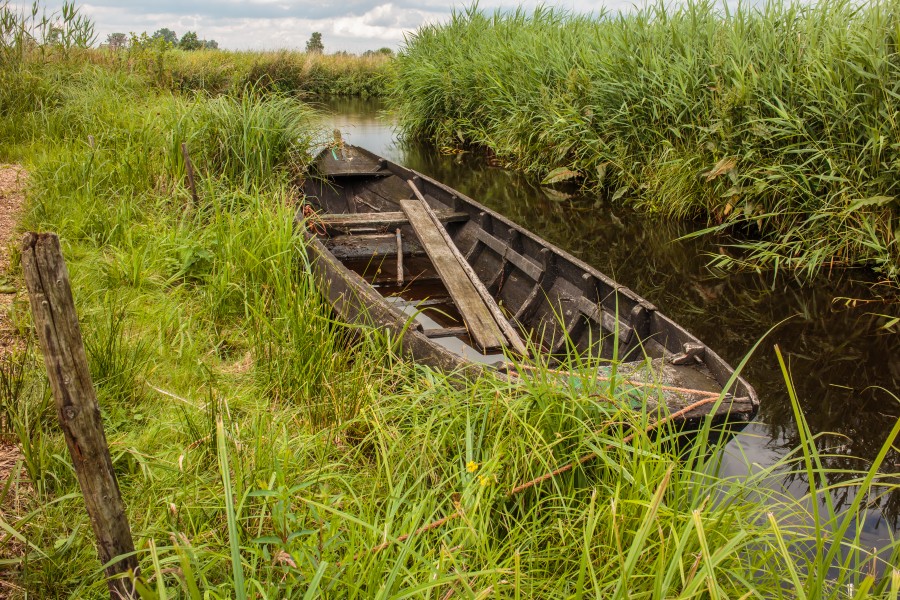 Nationaal Park Weerribben-Wieden. Laarzenpad door veenmoeras van De Wieden. Oude boot 01