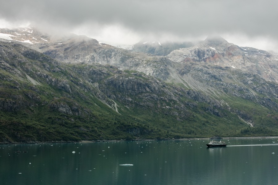 Navío Safari Endeavour, Parque Nacional Bahía del Glaciar, Alaska, Estados Unidos, 2017-08-19, DD 16