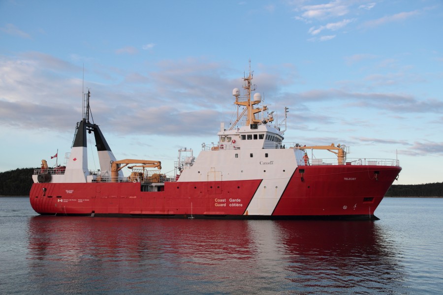 NGCC Teleost