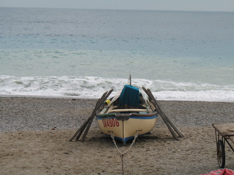 Noli-IMG 1701