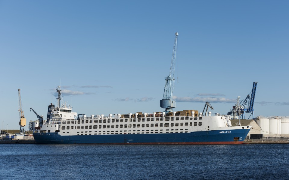 Omega Star (ship, 1991), Sète 04