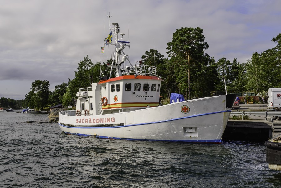 Oscar Falkman July 2015