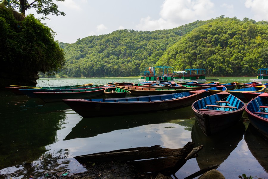 Phewa Lake2605